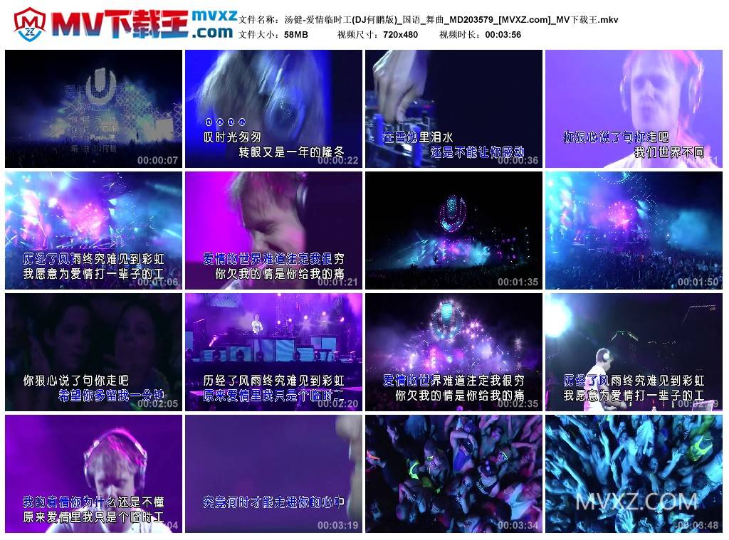 汤健-爱情临时工(DJ何鹏版)_国语_舞曲_MD203579